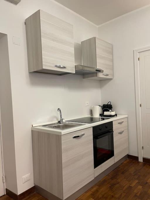 Central Lux Apartment