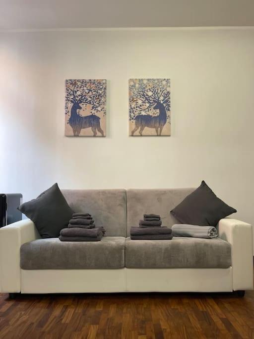 Central Lux Apartment
